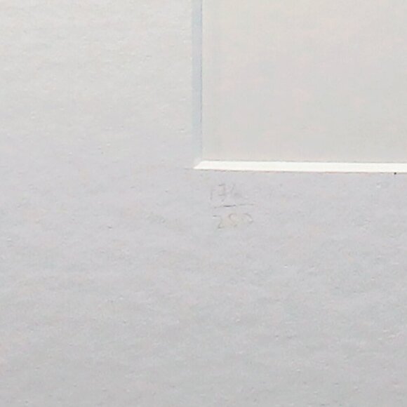 Silver Bromide Photograph Allan Manus Montréal Steps to Mount Royal With… - Picture 4 of 5